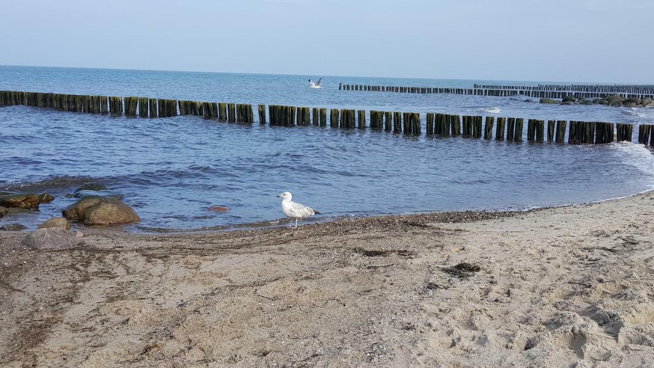Fewo Valencia Am Rosenhof - 5 Sterne Dtv Ostseebad Kühlungsborn 외부 사진